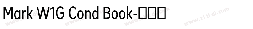 Mark W1G Cond Book字体转换 Mark W1G Cond Book字体转换